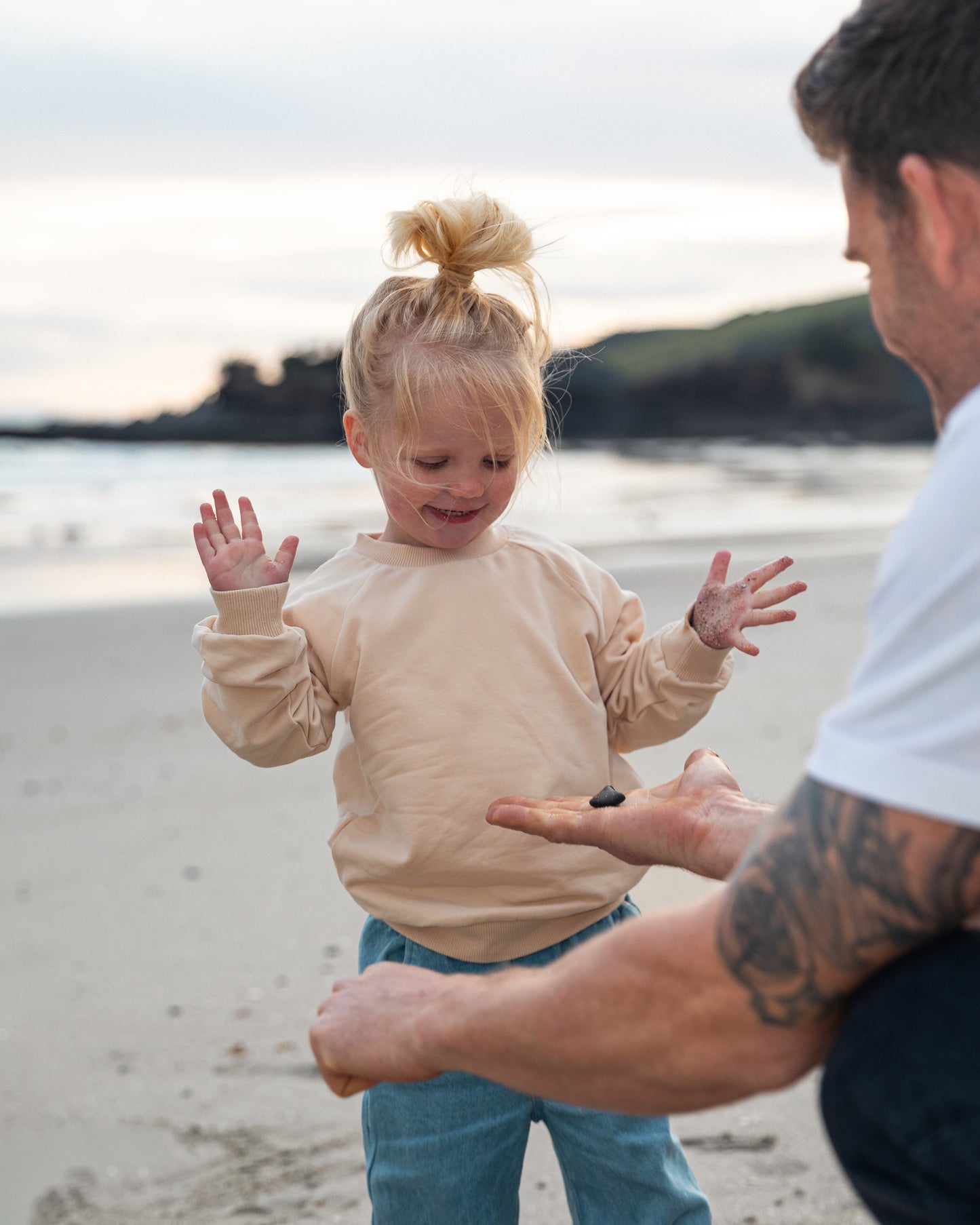 The Essential Crew | Seashell