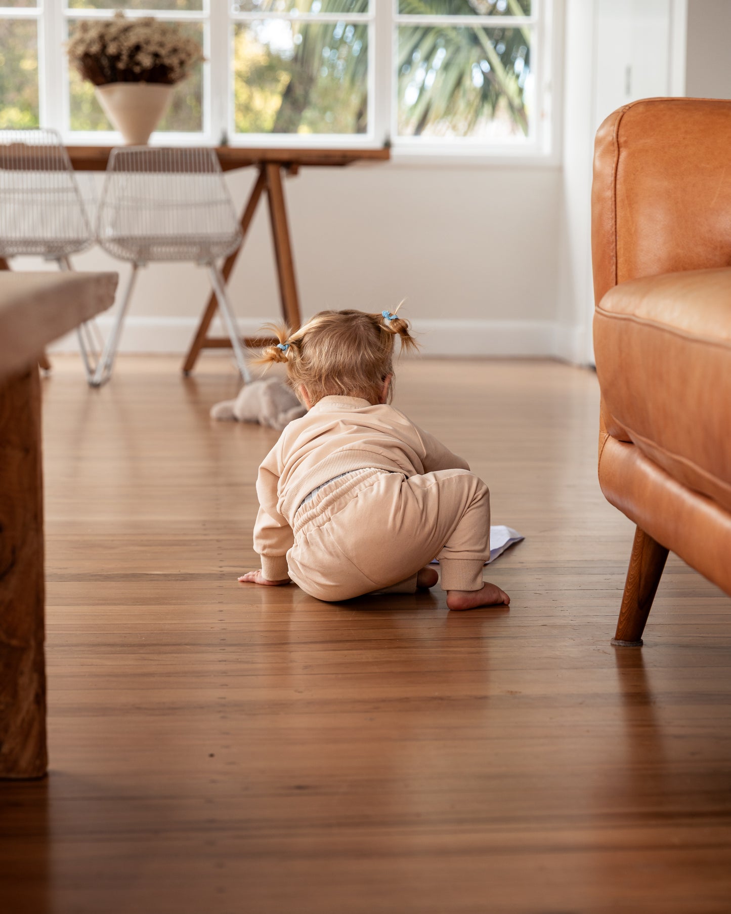 The Essential Crew | Seashell