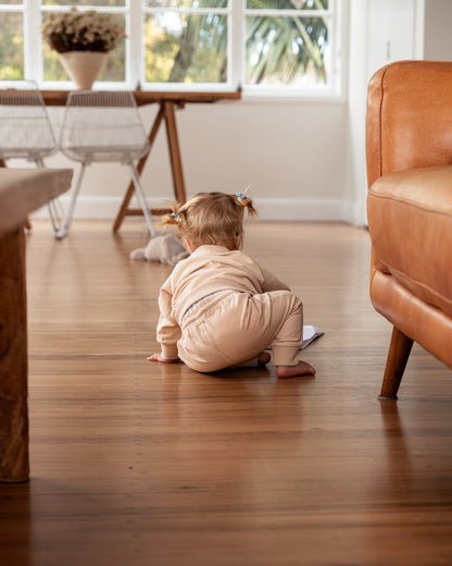 The Essential Crew | Seashell