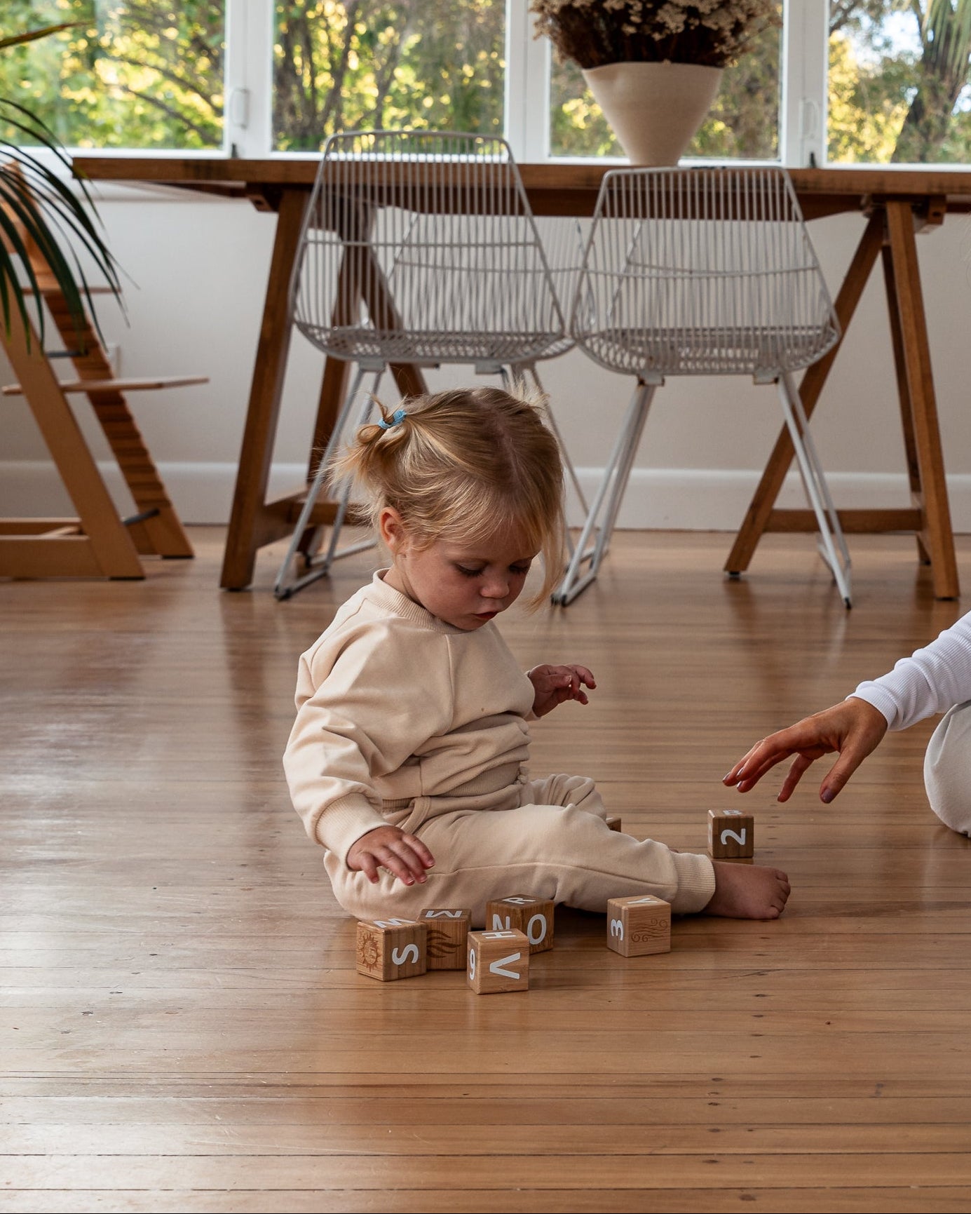 The Essential Crew | Seashell