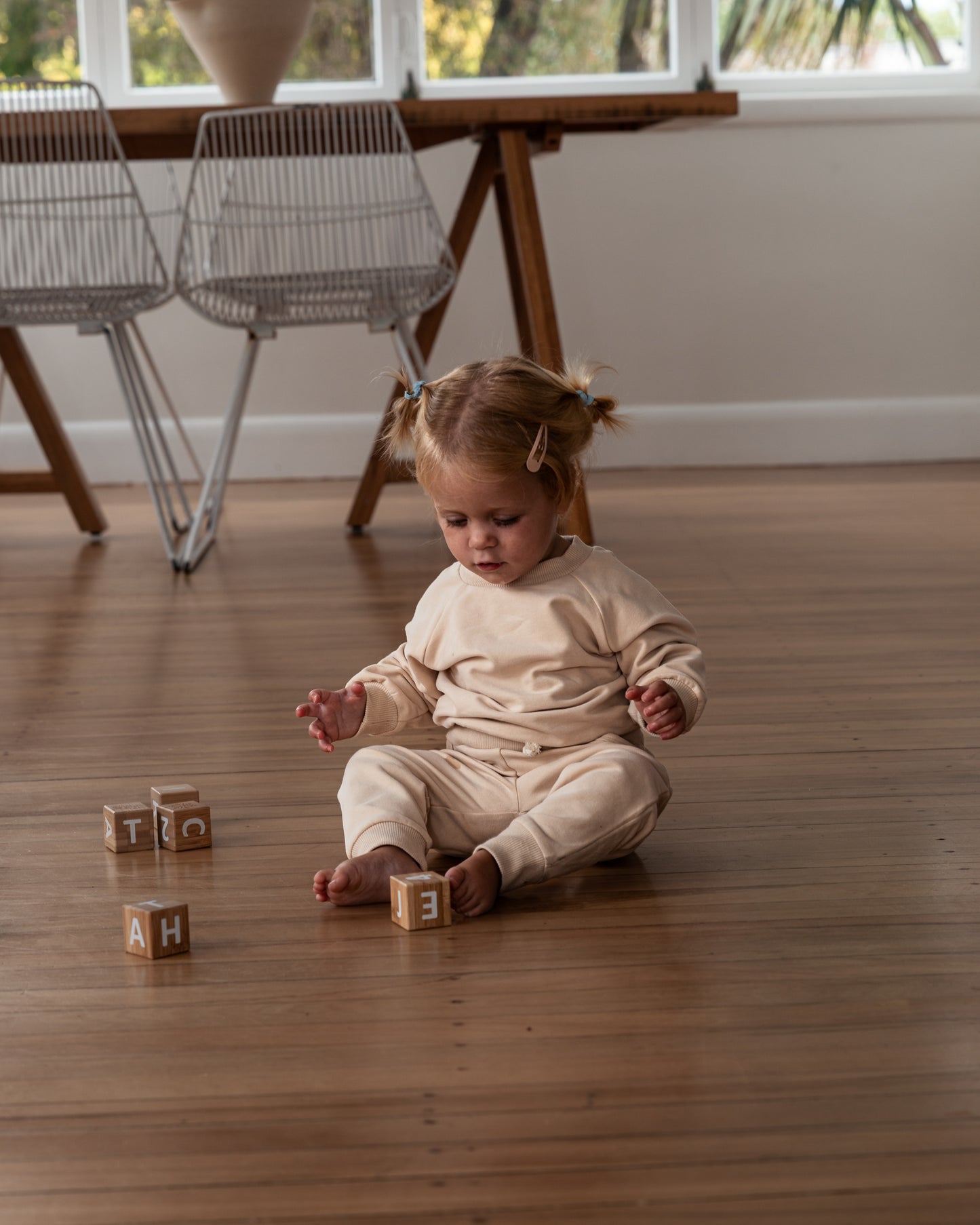 The Essential Crew | Seashell