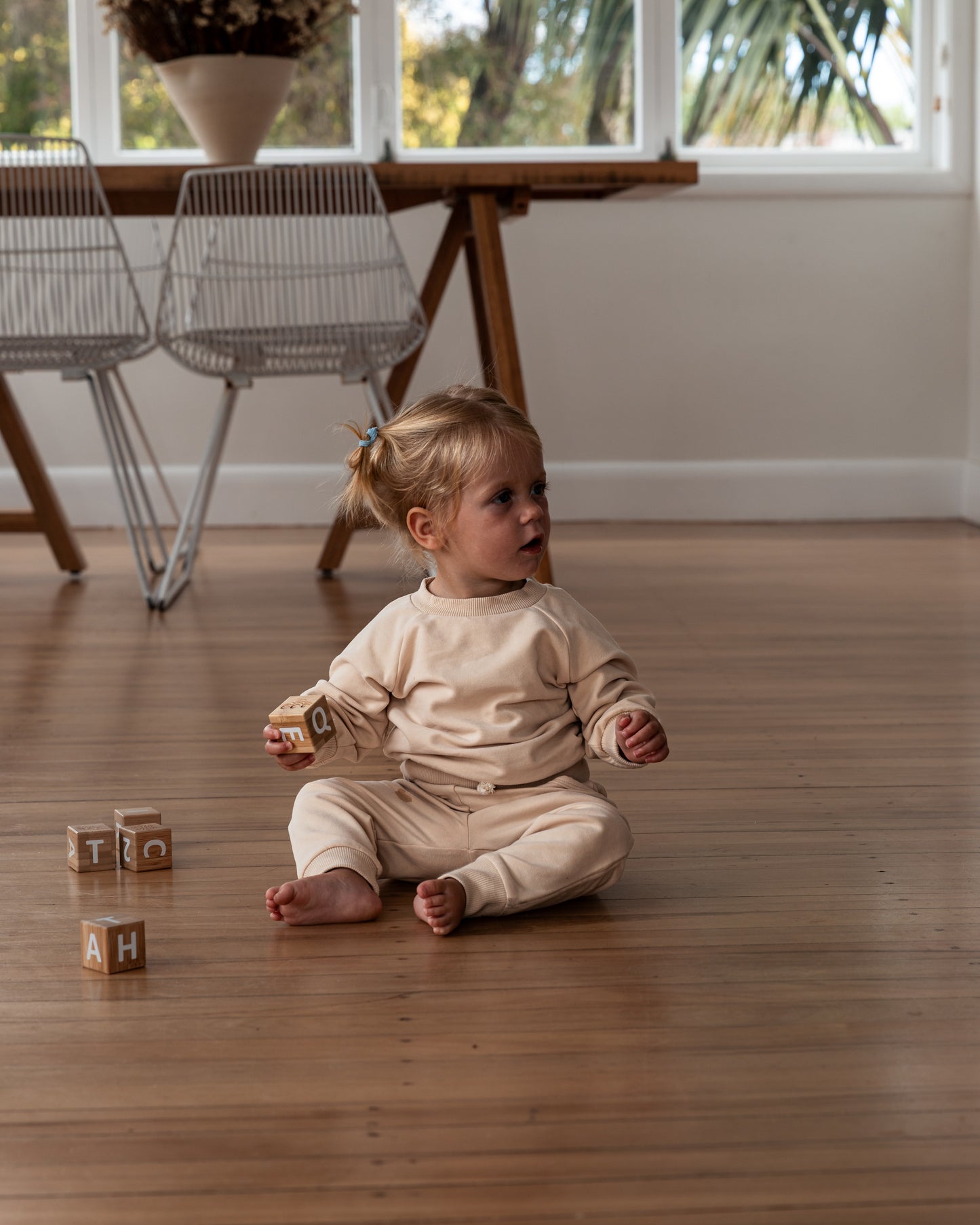 The Essential Crew | Seashell