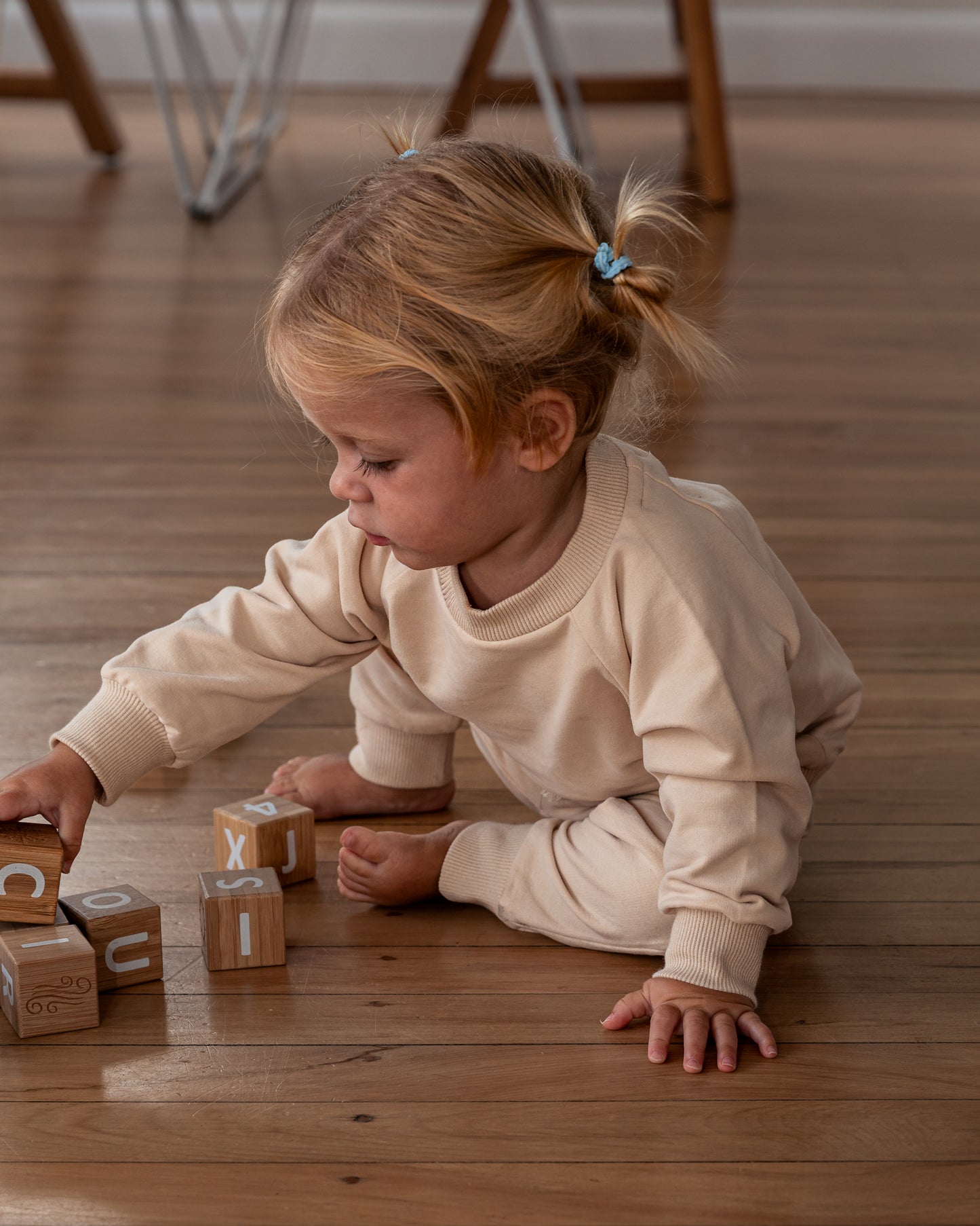 The Essential Crew | Seashell